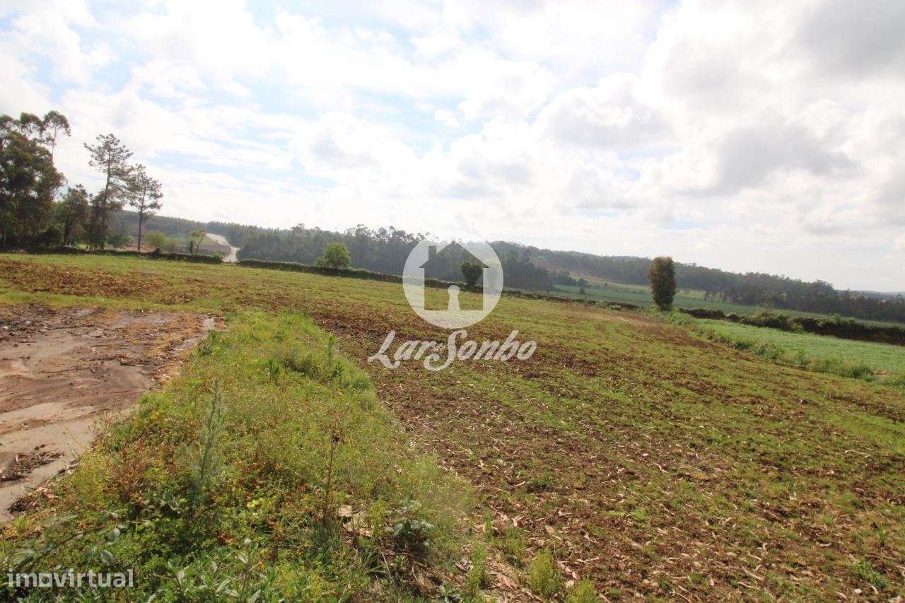 Terreno de construção com 6.190 m2 em Balazar - Grande imagem: 1/7