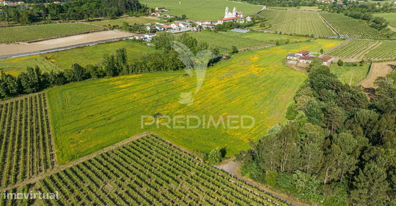 Duas QUINTAS, com exploração agrícola e Turismo Rural; - Grande imagem: 2/40