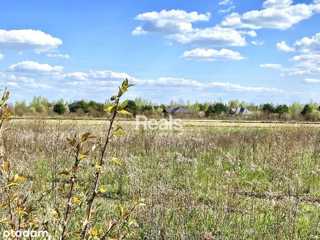 Działka budowlana 1290 m2 Czosnów. - Pełny obrazek: 4/5