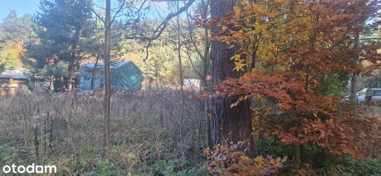 Sprzedam działkę - Pełny obrazek: 5/6