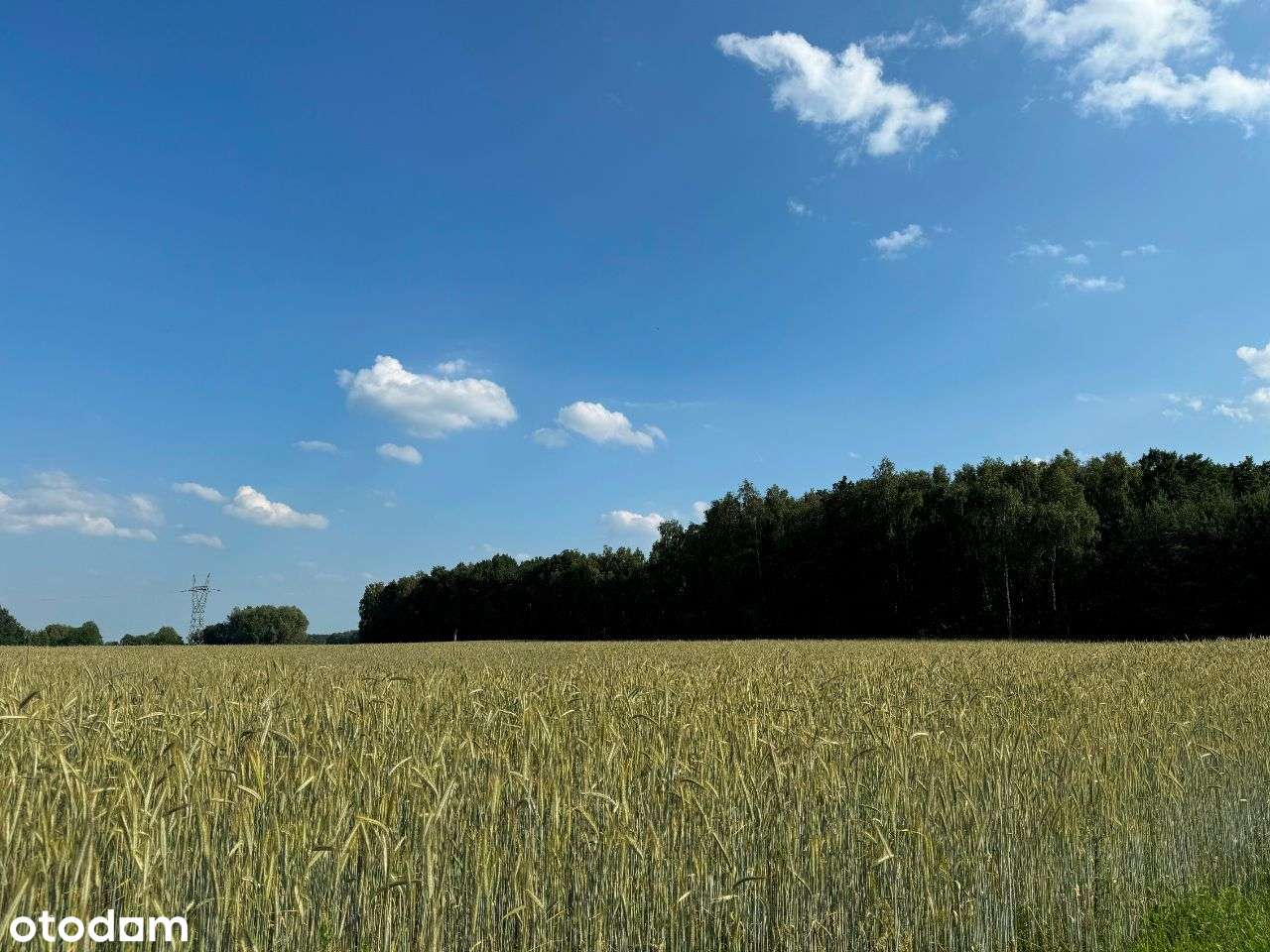 14 działek do wyboru z warunkami zabudowy w Strzelcach Górnych-12