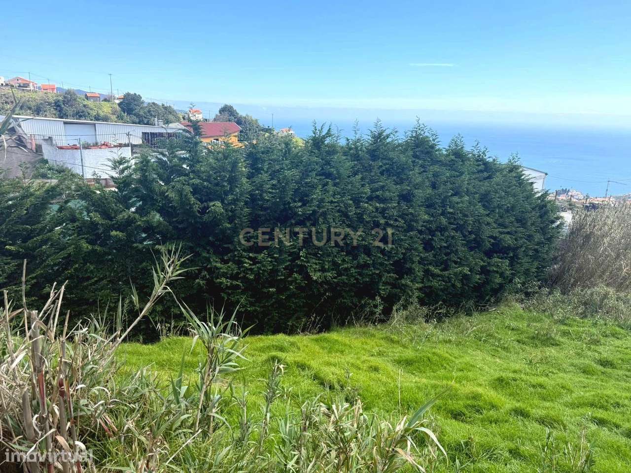 Terreno Rústico com Vista Mar em Canhas, Ponta do Sol - Grande imagem: 5/11