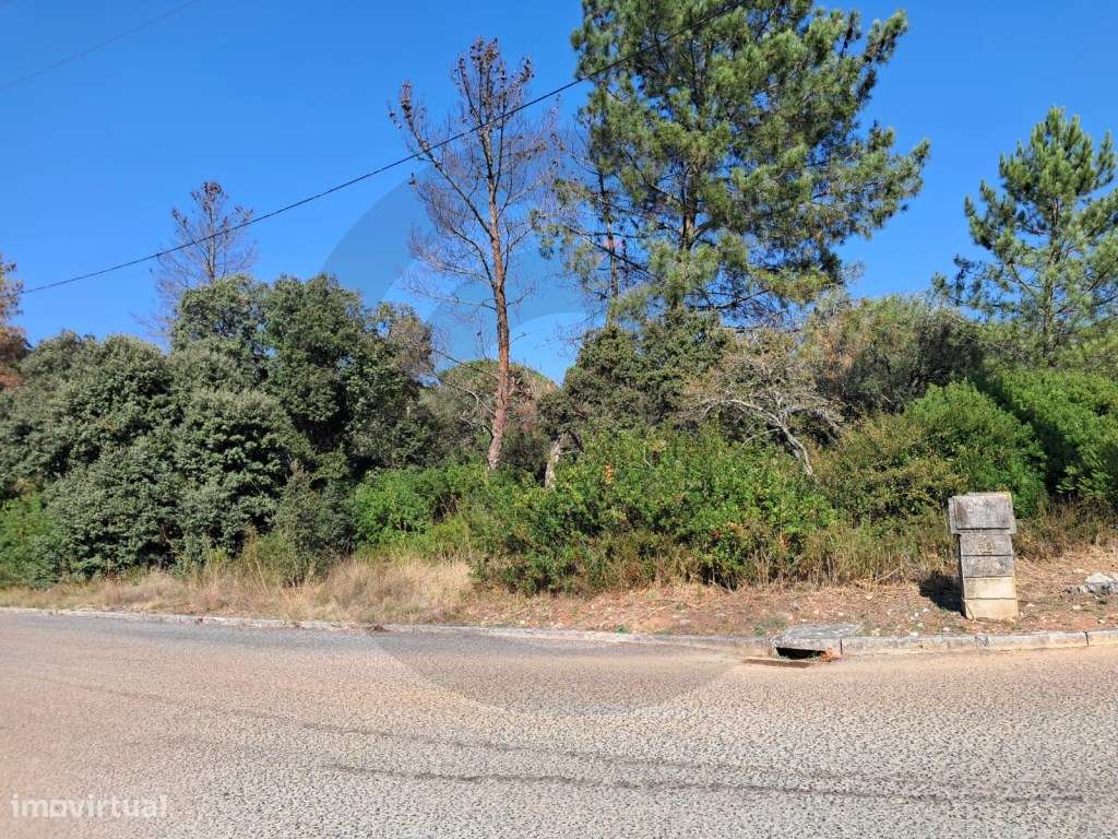 Lote para construção na Vila de Minde - Grande imagem: 2/2