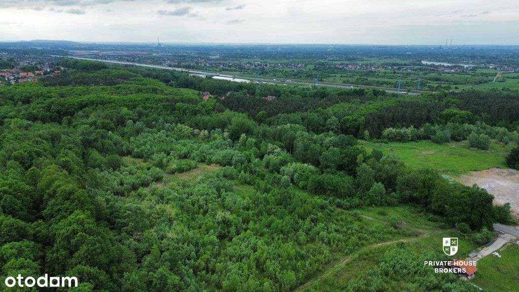 Na sprzedaż piękna widokowa, 17,3a w Zakrzowie - Pełny obrazek: 4/6