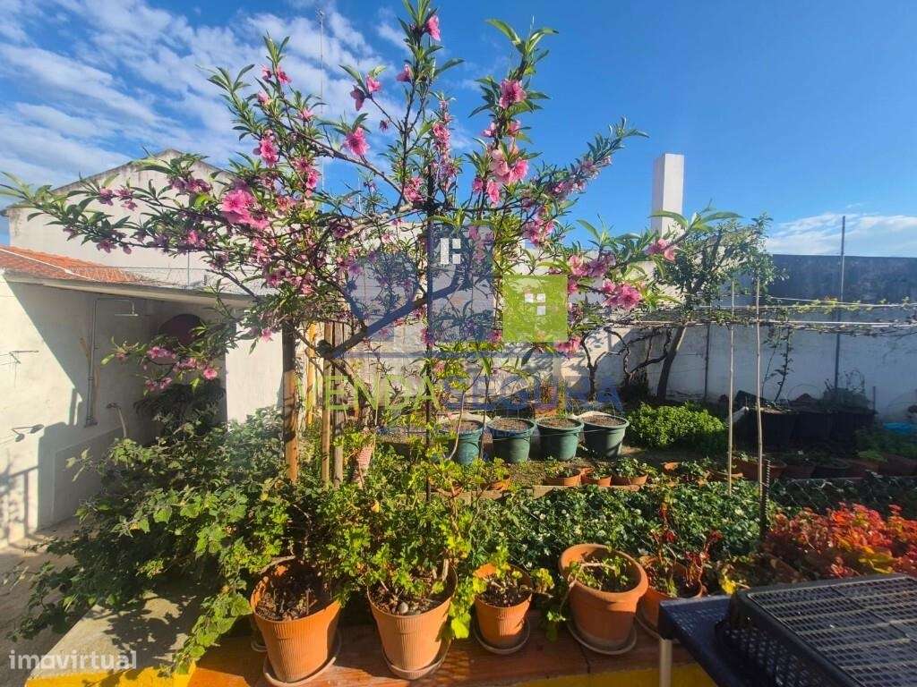 Moradia T3 com quintal, terraço e garagem | Pias-31