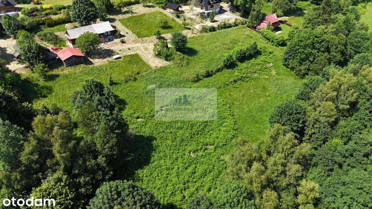 Atrakcyjna działka 0,8214 ha Zawadka, Beskid Makowski - Pełny obrazek: 5/7