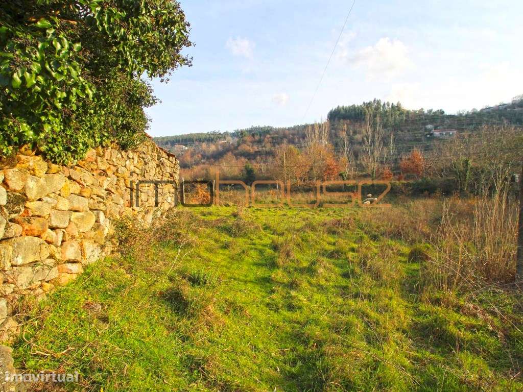 Quinta de 2ha com várias edificações - Terreno Plano-8