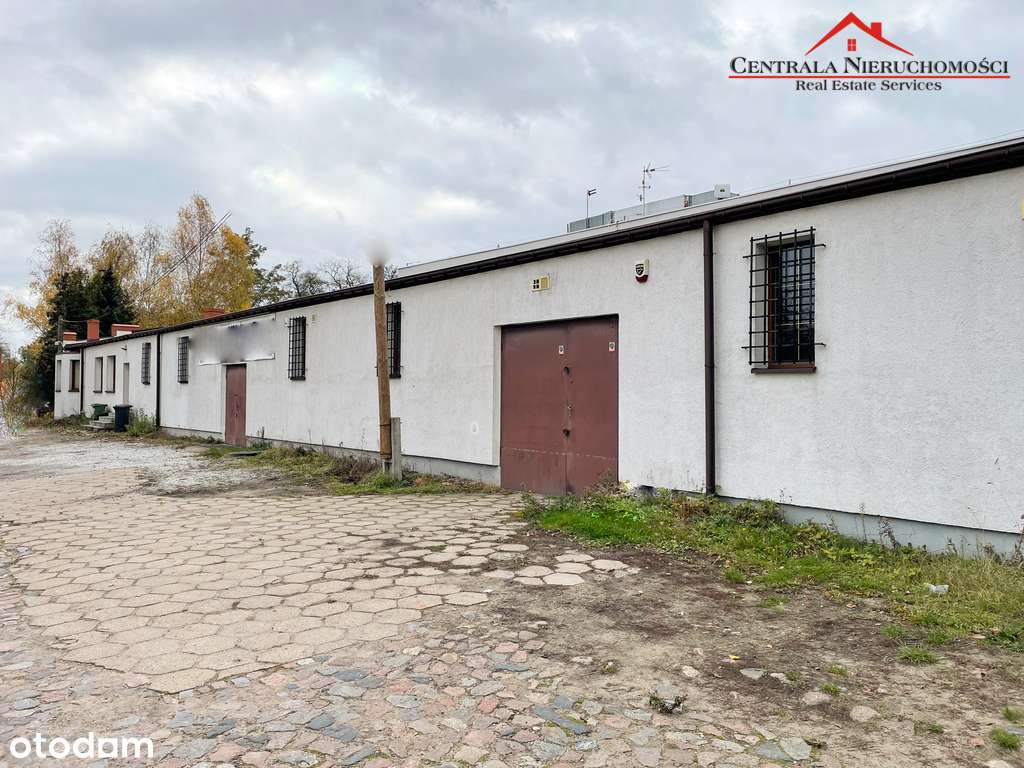 Budynek magazynowo/biurowy 280m/ Toruń - Pełny obrazek: 3/8