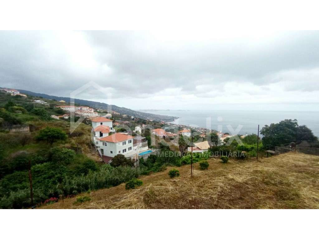 Terreno com 5250m2 em Gaula - vista mar - Grande imagem: 2/15