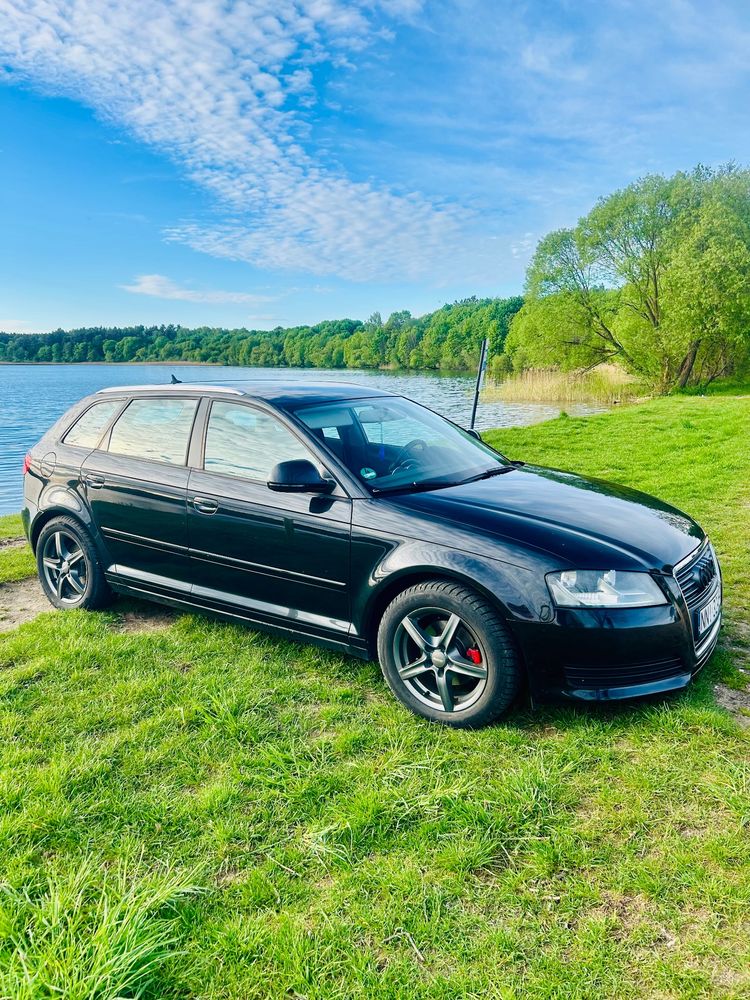 Audi A3 8P 1.6 TDI DPF Attraction 2009