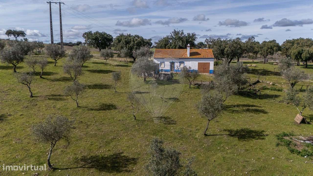 Quinta T3 para venda - Grande imagem: 4/24