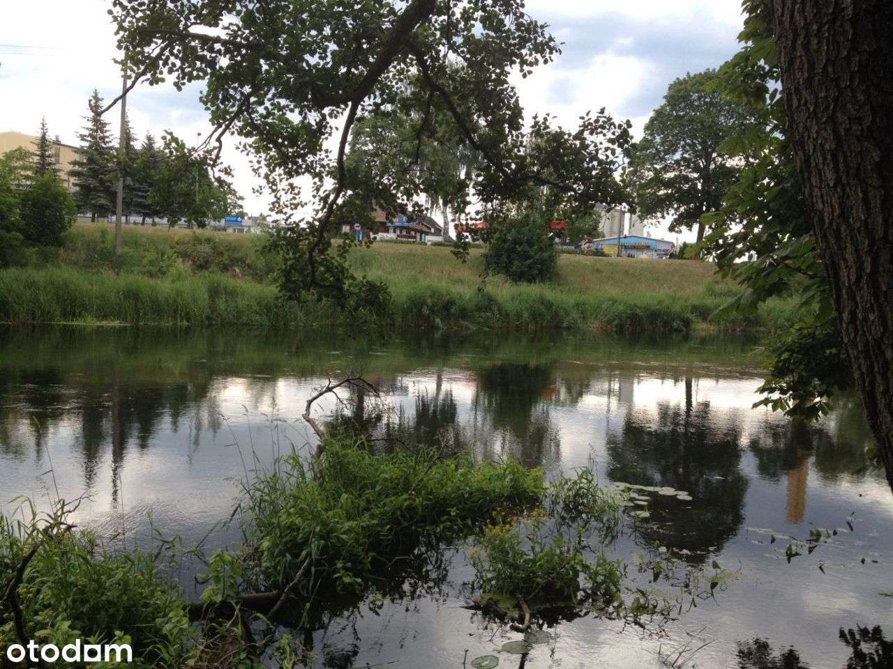 Działka w centrum Piły nad Gwdą - Pełny obrazek: 5/5