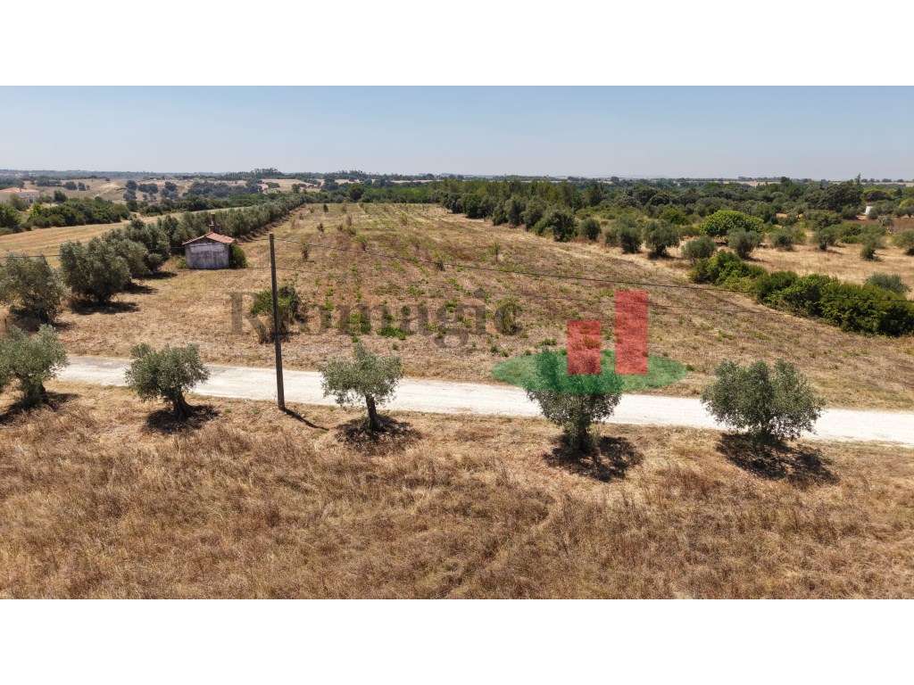 Terrenos rústicos Almoster***RIOMAGIC*** - Grande imagem: 3/46