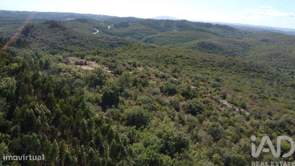 Terreno em Freixianda, Ribeira do Fárrio e Formigais de 15939,00 m2 - Grande imagem: 4/17