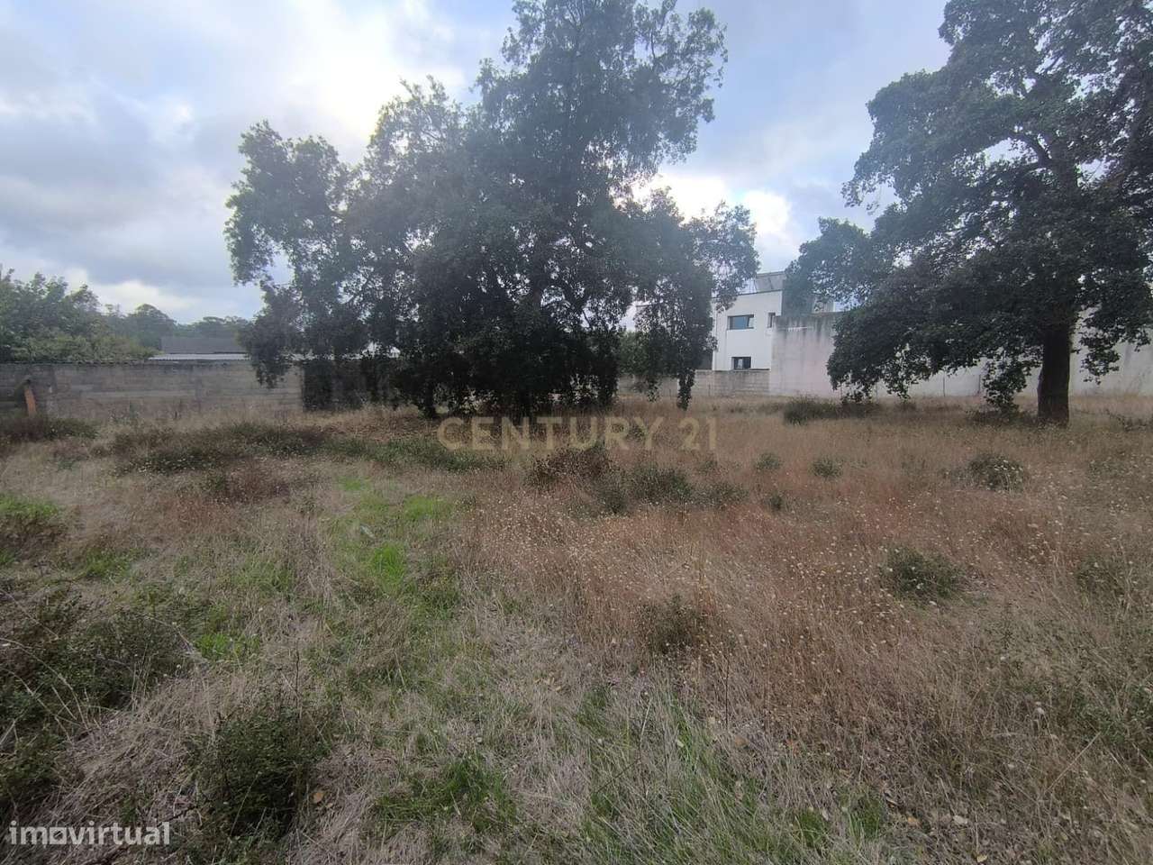 TERRENO  URBANO - Grande imagem: 5/5