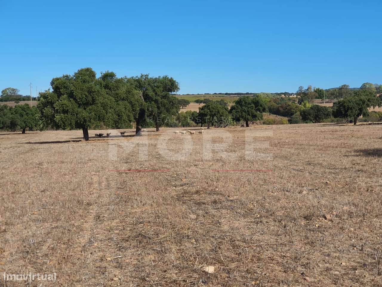 Herdade - Alvito-39