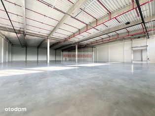 Hala Magazyn 2500 m2 Balice 4 doki, brama "0" - Pełny obrazek: 2/7