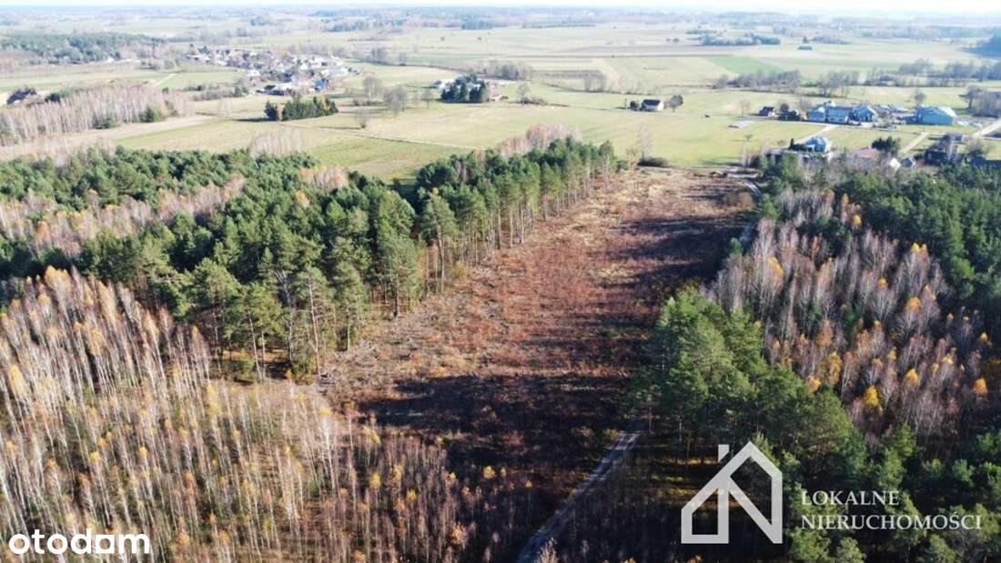 5 działek w miejscowości Nowa Maliszewa na sprzedaż! - Pełny obrazek: 4/10