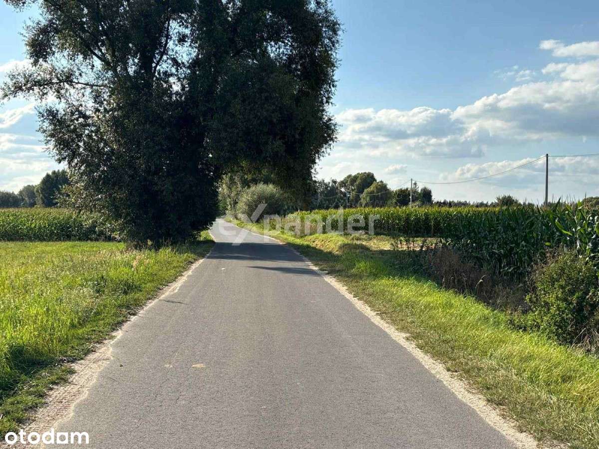 ex201195 - Pełny obrazek: 5/8