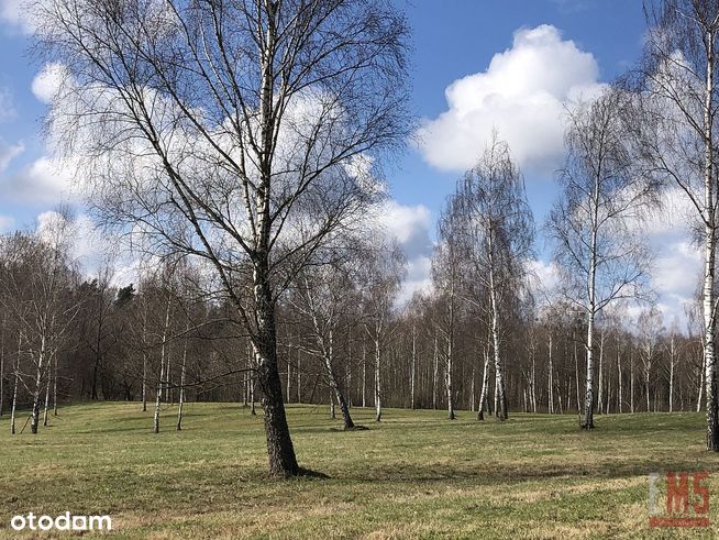 Działka budowlana na Szlaku Wielkich Jezior!