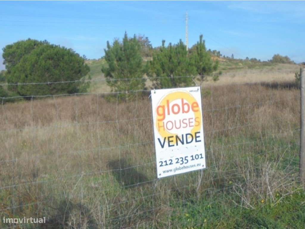 Terreno com 42500 m2. - Grande imagem: 2/7