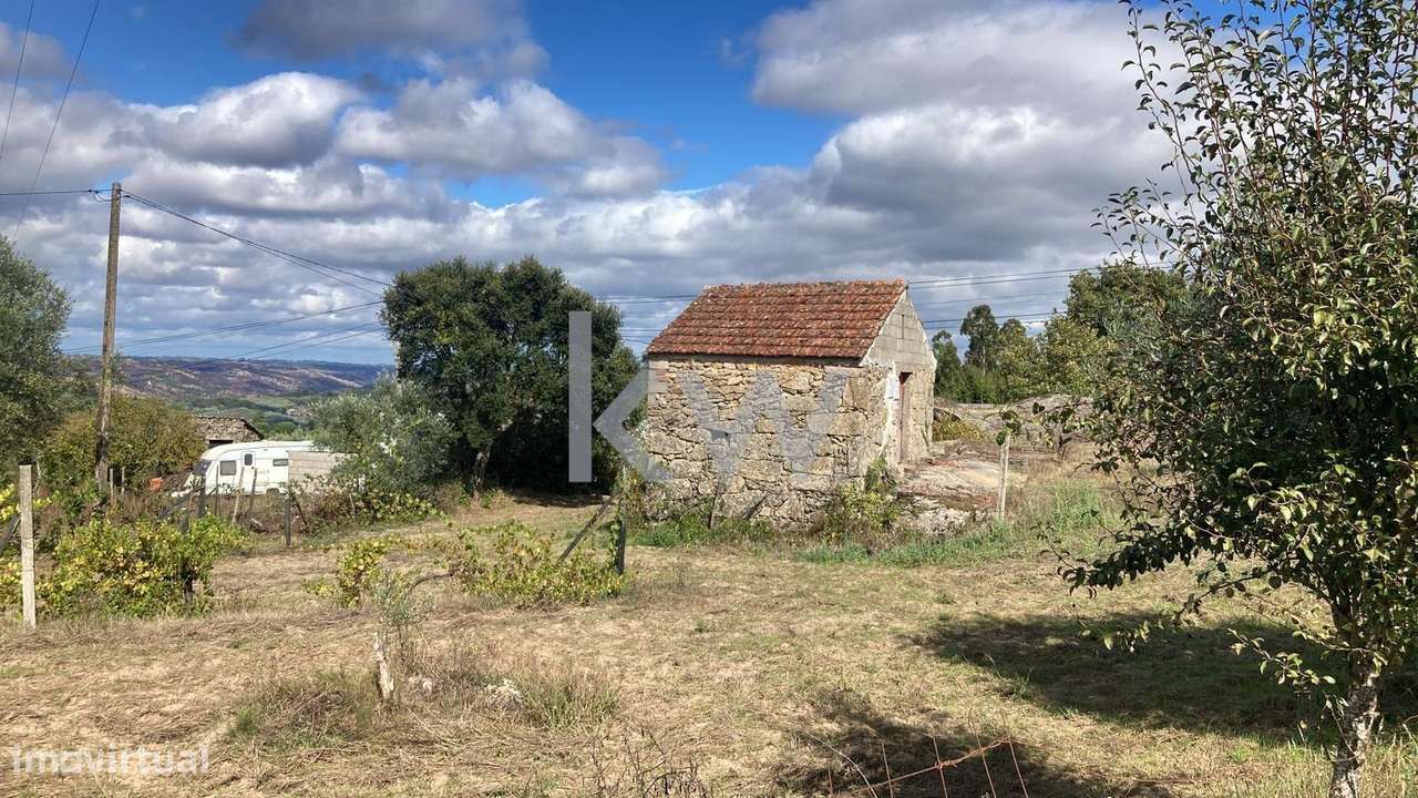 Terreno em Vila do Mato, Tábua - Grande imagem: 4/6