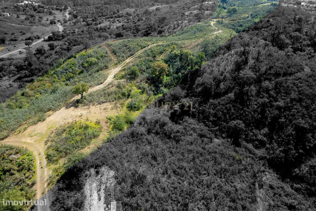 Terreno em Salir, Loulé - Oportunidade Única por 25.000€ - Grande imagem: 5/8