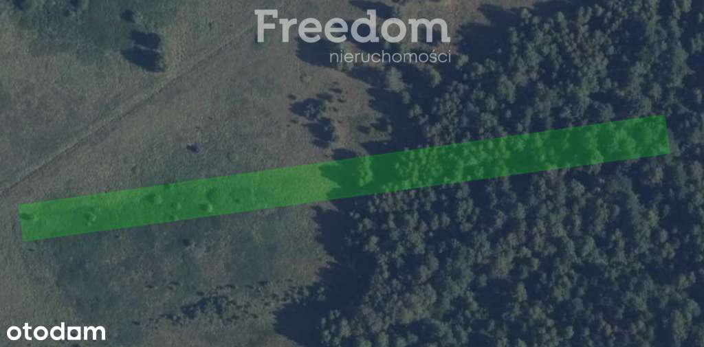 Działka rolna - łąka/pastwisko - Pełny obrazek: 1/2