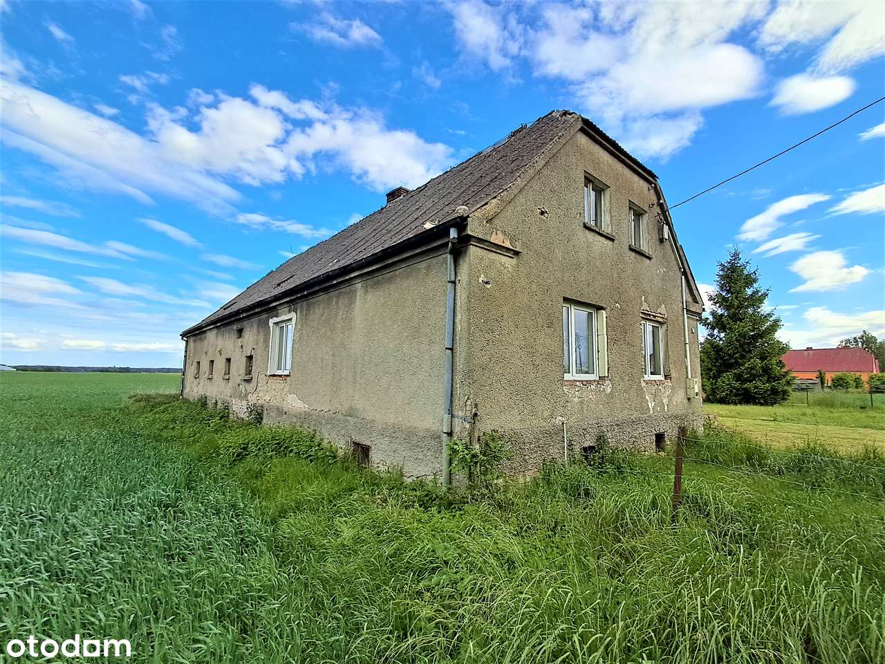 Na sprzedaż siedlisko w Renicach na dużej działce.-5
