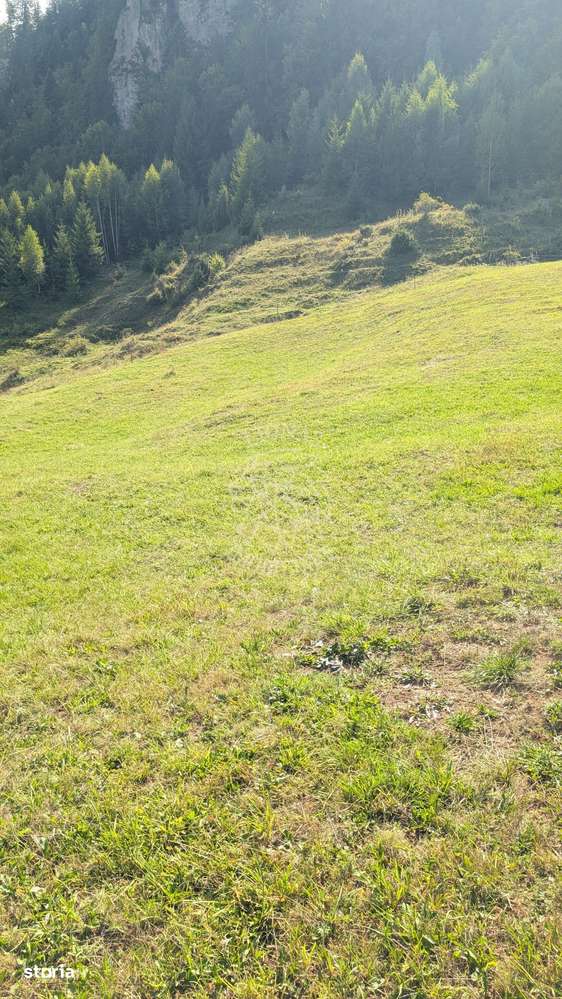 Oportunitate!Teren intravilan 61.38400mp-Parcelabil-utilitati-Colibita - Imagine principală: 4/6