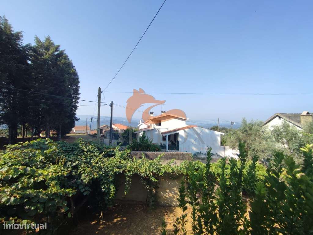 Moradia Independente em Vila Pouca da Beira, Oliveira do Hospital-28