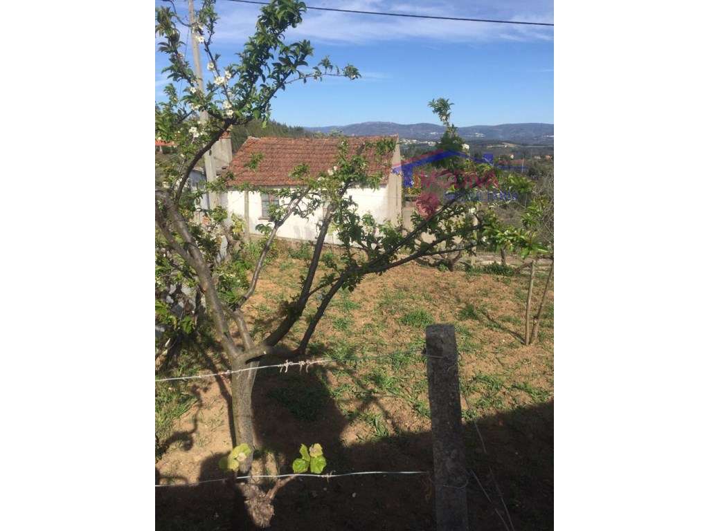 Moradia para restaurar com furo de água - Grande imagem: 5/22