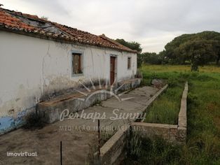 Monte Típico Alentejano para Recuperar - Melides