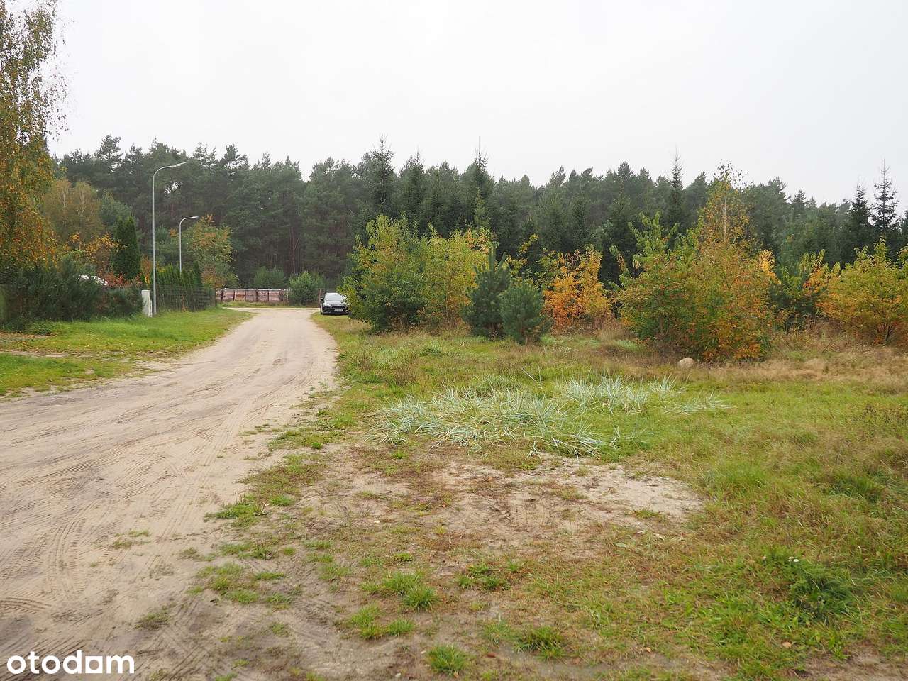 Lubonieczek koło Zaniemyśla, 1619 m2-0