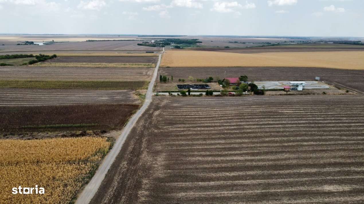 Frumusani - Hobby Arena - teren intravilan cu PUZ aprobat - Imagine principală: 2/5