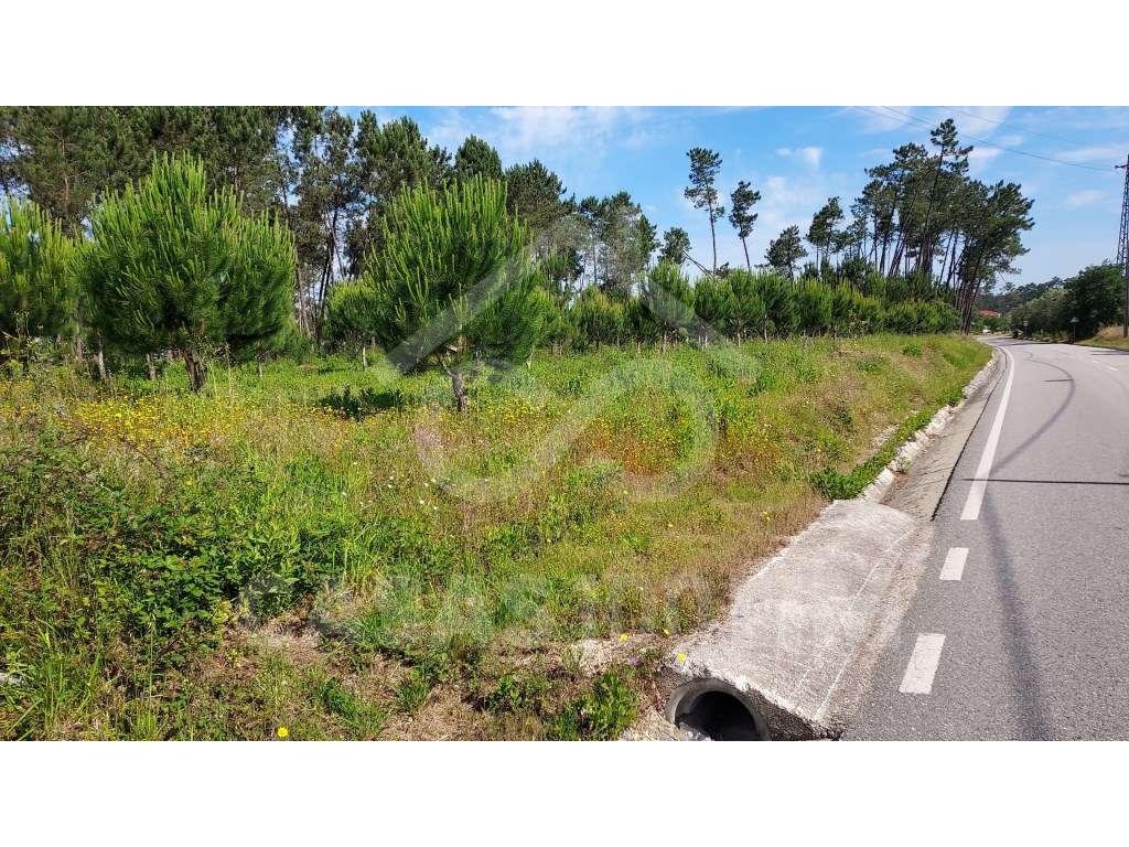 Terreno para construção-1