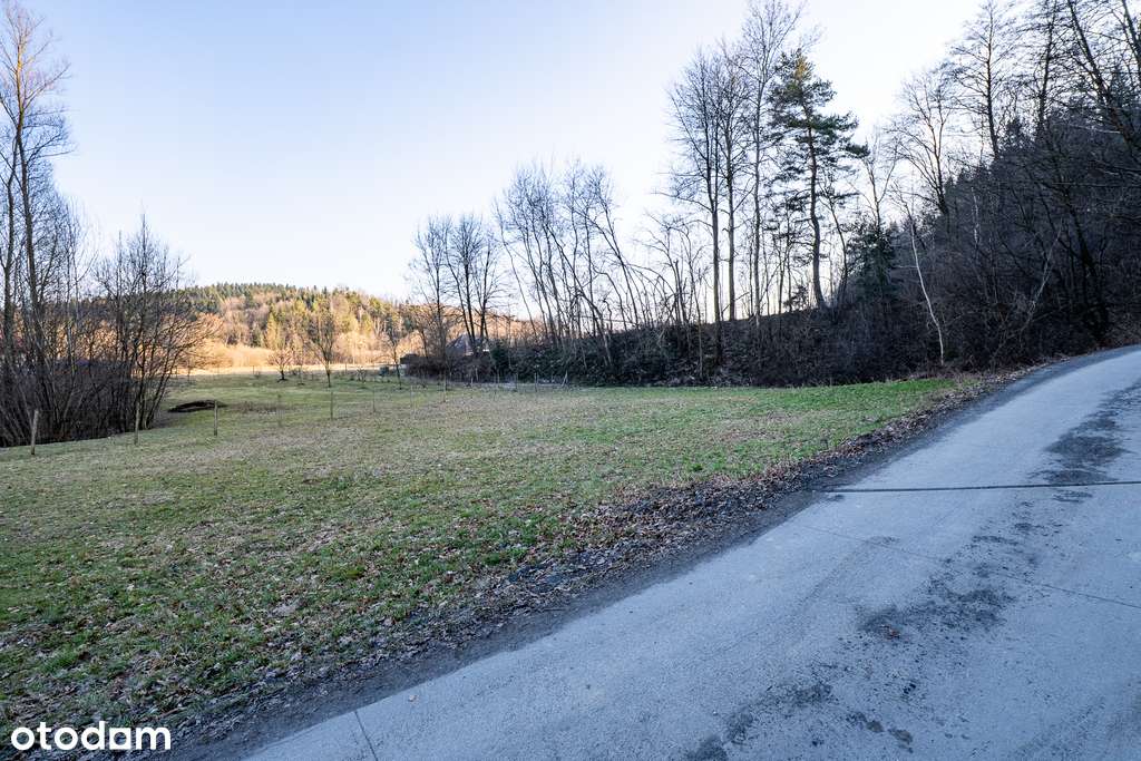 Działka budowlana 25 ar – Wojnarowa, gm. Korzenna-5