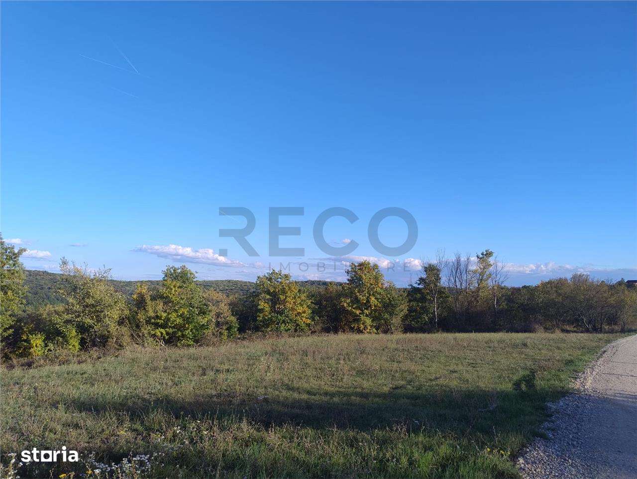 PECO Teren intravilan Saldabagiu De Munte - Imagine principală: 2/5