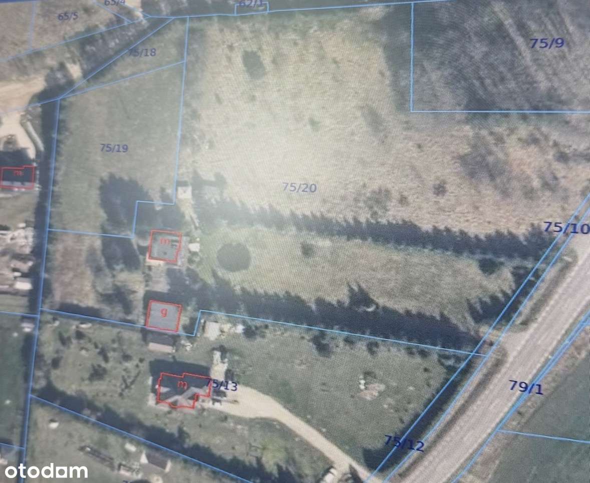 Duża działka 6 456 m² – teren usługowo-mieszkaniowy – Łosino - Pełny obrazek: 4/6