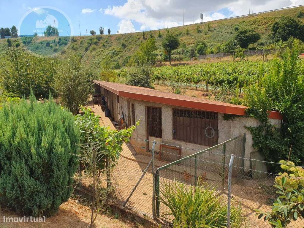 Quintinha à venda- Arco de Baúlhe-57