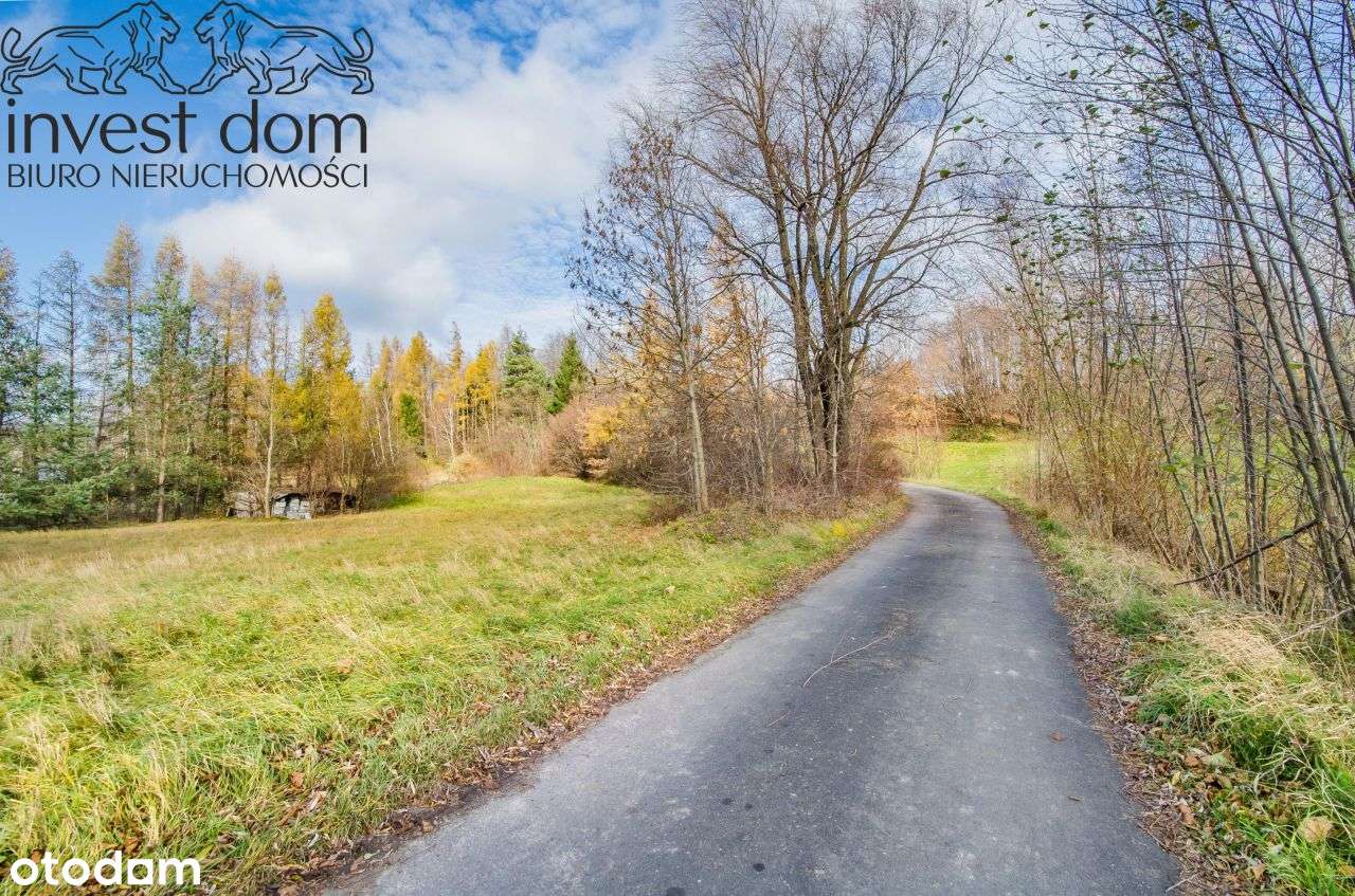 .. idealna, komfortowa i pod lasem! taka jest dzia-6