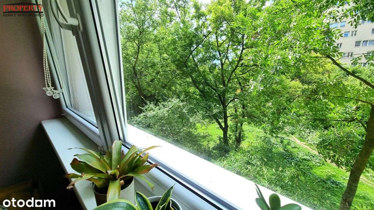 Estetyczna, nowoczesna kawalerka ul. Dąbrowskiego - Pełny obrazek: 4/16