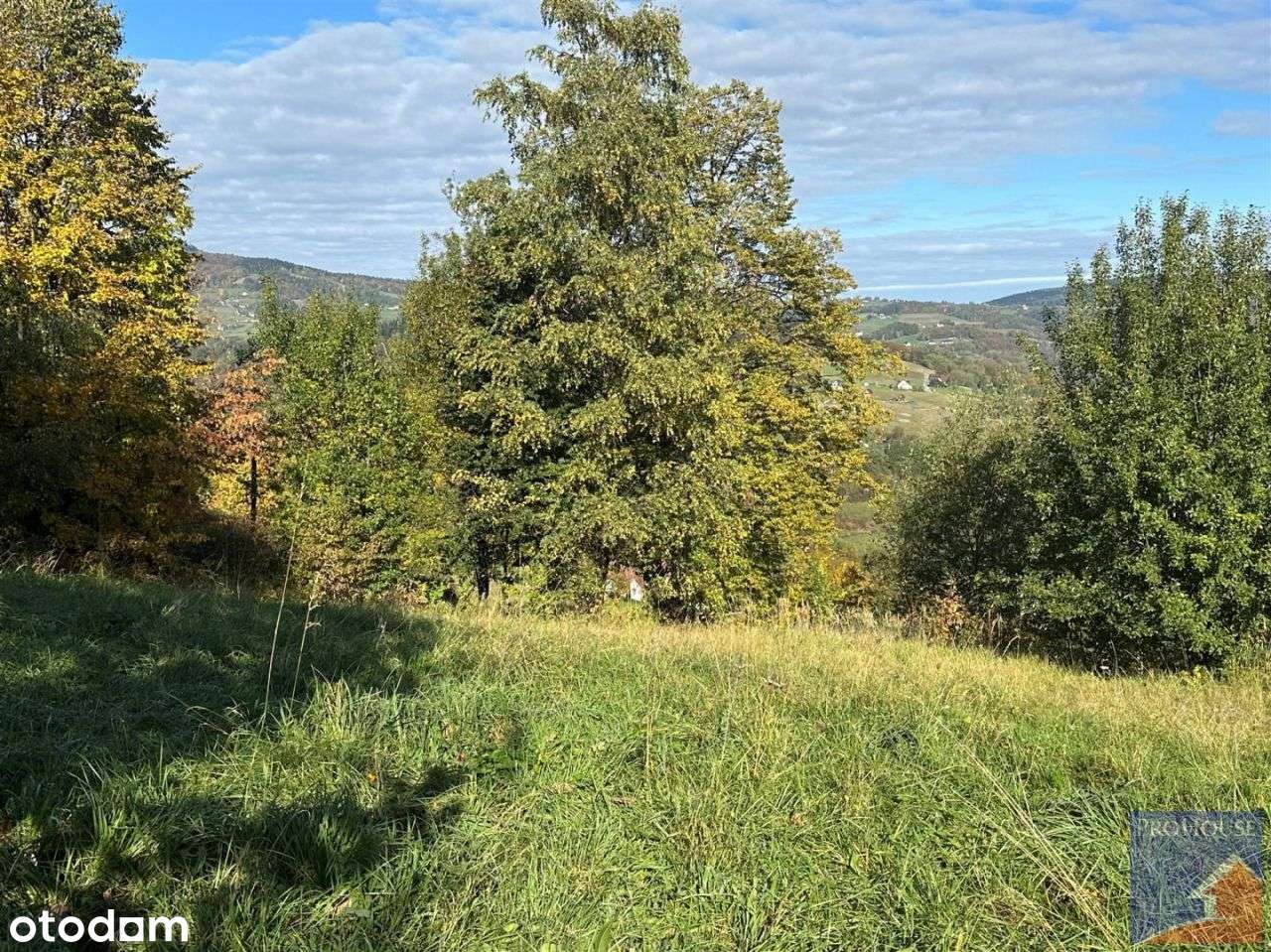 Działka, 1 244 m², Laskowa-15