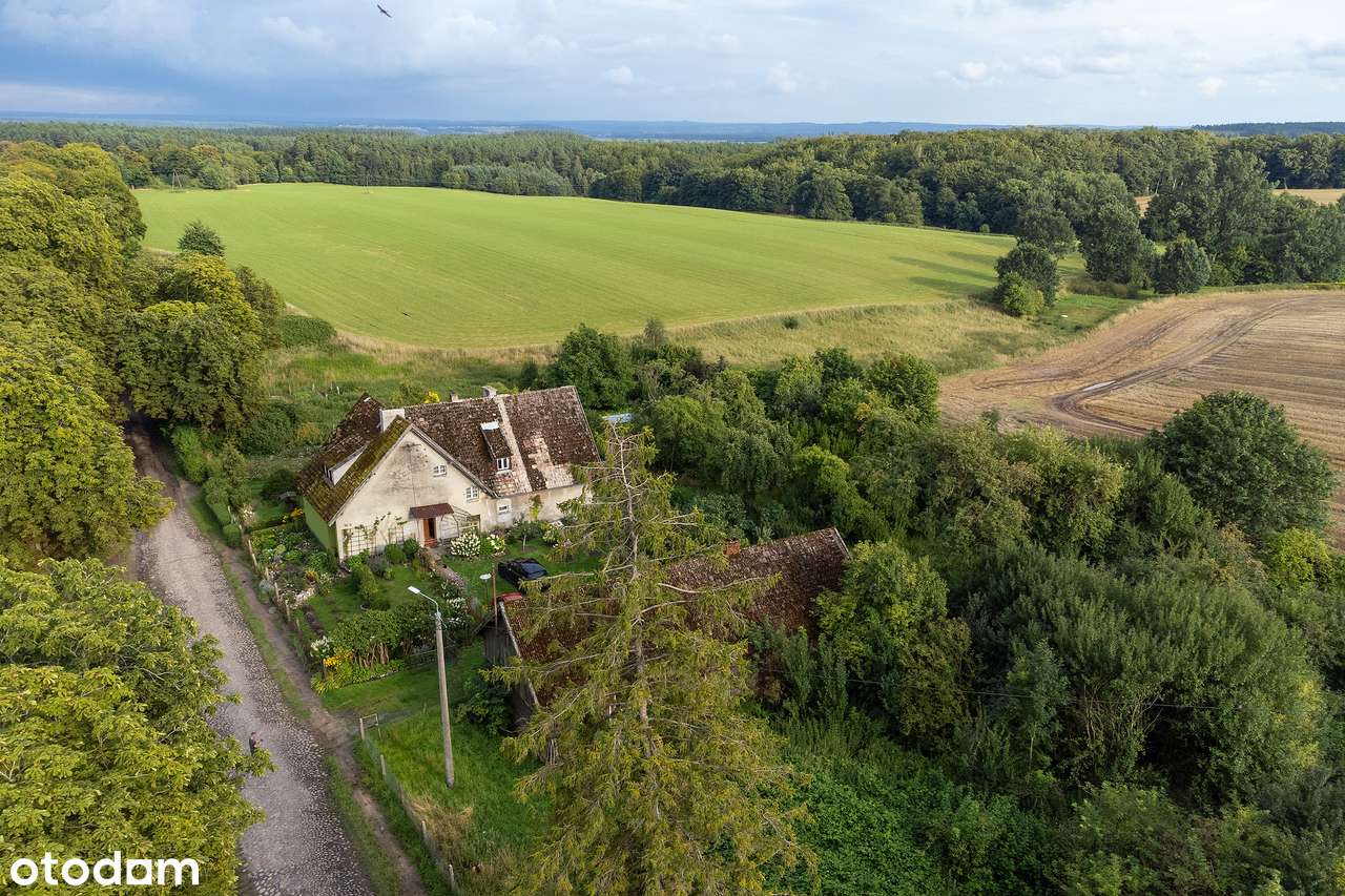 Stara szkoła - dom mieszkalny z działką w oazie spokoju na pensjonat - Pełny obrazek: 4/15