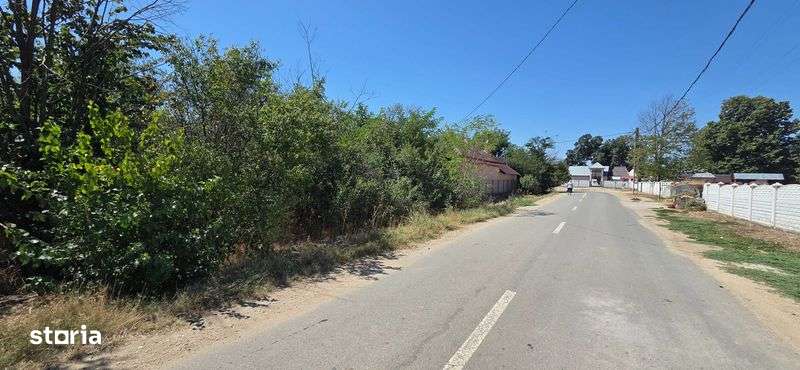 Teren intravilan in Frumoasa, judetul Teleorman - Imagine principală: 4/4