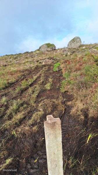 Terreno - 1200 m2 - Revelhe - Fafe - Grande imagem: 4/6