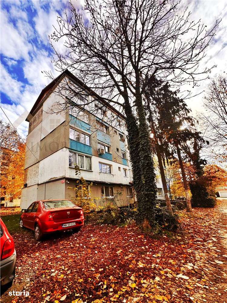 Apartament 2 camere, etaj 4 , str. George Cosbuc-2