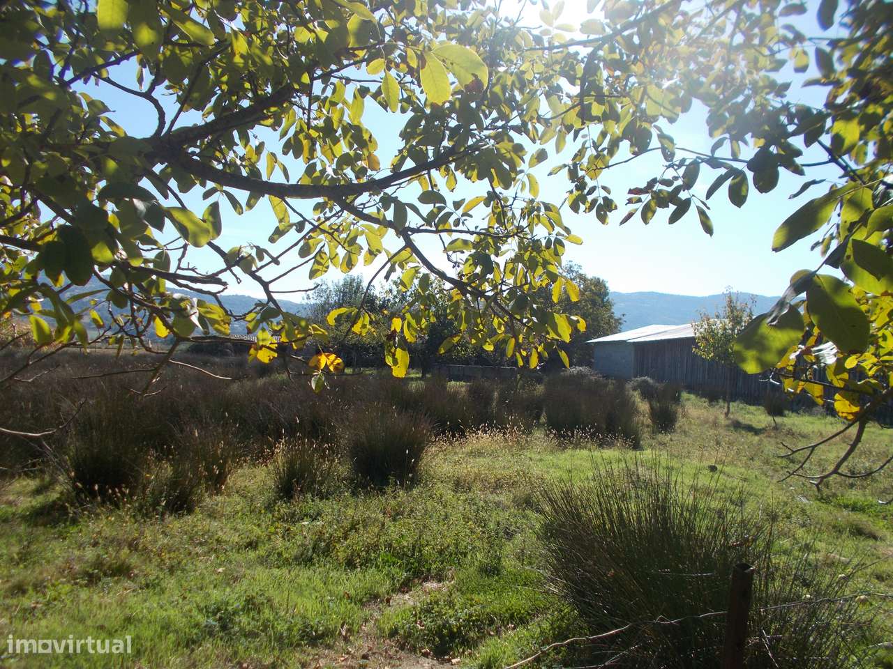Casa e Quinta em Chaves 7500 m2 - Grande imagem: 5/13