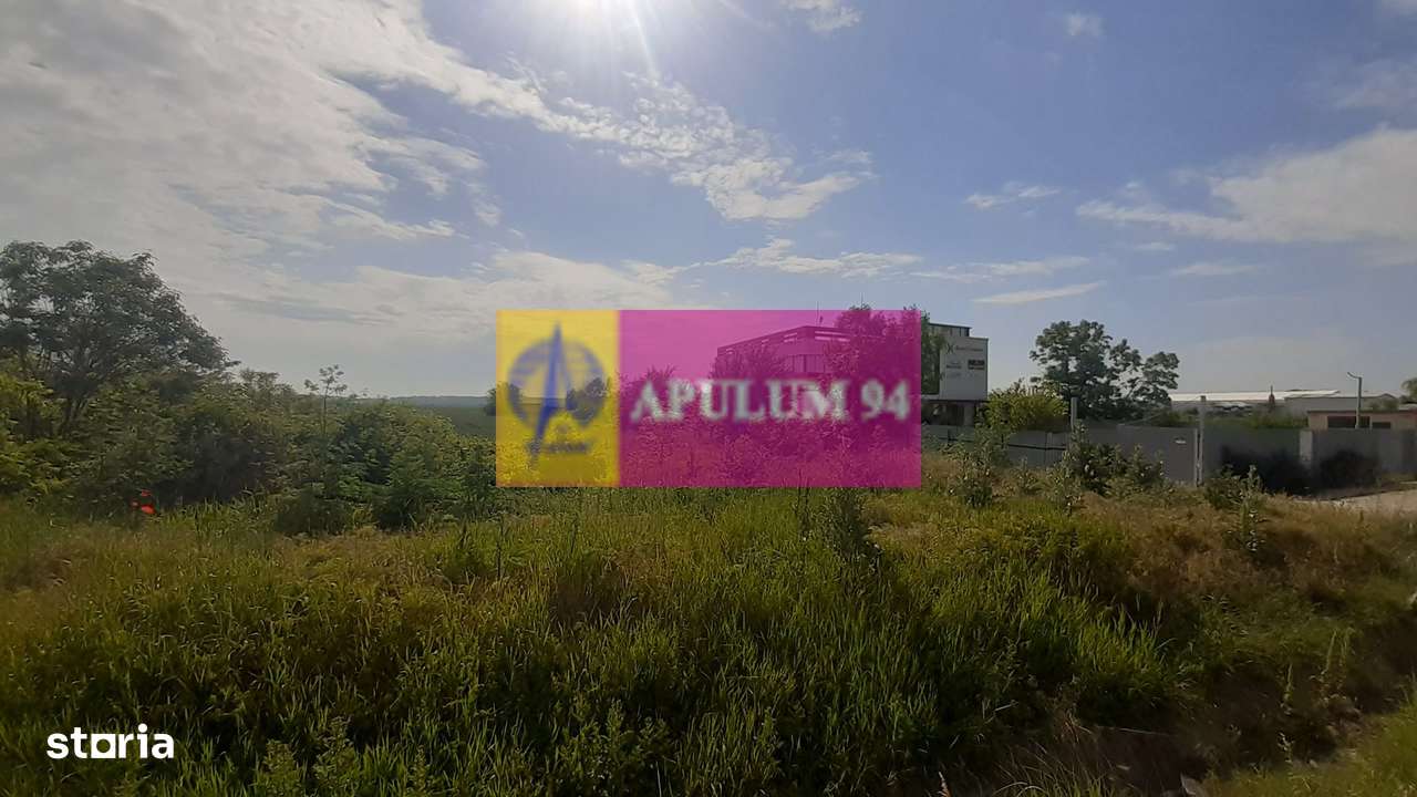 Teren perfect pentru deschiderea unei afaceri lângă București - Imagine principală: 2/12