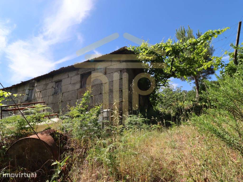 Terreno com 17.800 m², Casa para Reconstruir e mina de Água - Soalh...-3